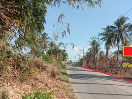  Grundstück zu verkaufen in Pattaya, Chon Buri, Khao Mai Kaeo