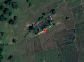  Land for sale in Nong Khai, Sakhrai, Sakhrai, Nong Khai