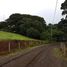  Land for sale in Grecia, Alajuela, Grecia