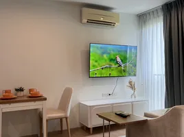 Studio Apartment for sale at Zcape X2, Choeng Thale, Thalang