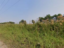  Grundstück zu verkaufen in Wang Noi, Phra Nakhon Si Ayutthaya, Phayom, Wang Noi