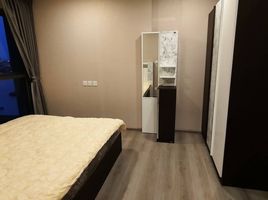 คอนโด 2 ห้องนอน ให้เช่า ในโครงการ เดอะ โพลิแทน บรีซ, บางกระสอ, เมืองนนทบุรี