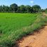  Land for sale in Chaiyaphum, Nong Na Saeng, Mueang Chaiyaphum, Chaiyaphum