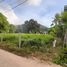  Land for sale in Trat, Ko Chang, Ko Chang, Trat