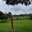  Land for sale in Presidente Figueiredo, Amazonas, Presidente Figueiredo