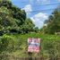  Land for sale in Chiang Mai, Mae Faek Mai, San Sai, Chiang Mai