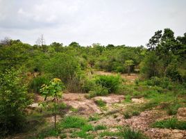  Grundstück zu verkaufen in Phibun Mangsahan, Ubon Ratchathani, Pho Sai