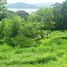  Land for sale in Guanacaste, Tilaran, Guanacaste