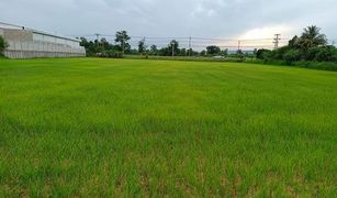 N/A Land for sale in Sam Yaek, Yasothon 