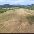  Land for sale in Nakhon Ratchasima, Wang Katha, Pak Chong, Nakhon Ratchasima