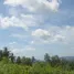 ขายที่ดิน ใน ตลิ่งงาม, สุราษฎร์ธานี, ตลิ่งงาม