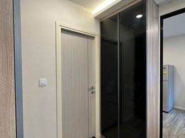 1 Schlafzimmer Appartement zu vermieten im IKON Sukhumvit 77, Suan Luang