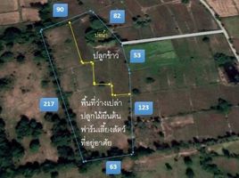  Land for sale in Na Si Nuan, Kantharawichai, Na Si Nuan