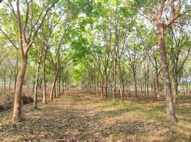  Land for sale in Na Mafueang, Mueang Nong Bua Lam Phu, Na Mafueang