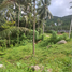  Land for sale in Koh Samui Surat Thani, Maret