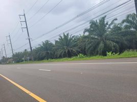  Grundstück zu verkaufen in Takua Thung, Phangnga, Krasom