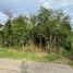  Land for sale in Ban Mai, Nonthaburi, Ban Mai, Pak Kret