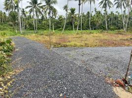  Grundstück zu verkaufen in Mueang Surat Thani, Surat Thani, Wat Pradu