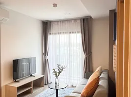 2 Bedroom Condo for rent at THE BASE Bukit, Wichit, Phuket Town, Phuket