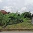  Land for sale in Nakhon Si Thammarat, Tha Sala, Tha Sala, Nakhon Si Thammarat