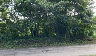 N/A Land for sale in Mae Taeng, Chiang Mai 