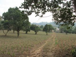  Land for sale in Mae Yao, Mueang Chiang Rai, Mae Yao