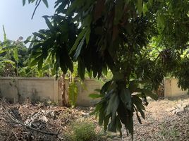  Land for sale in Fresh Market Saraphi, Yang Noeng, 