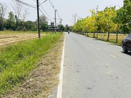  Grundstück zu verkaufen in Doi Saket, Chiang Mai, Samran Rat