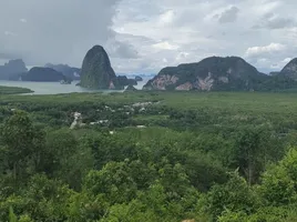  Land for sale in Takua Thung Phangnga, Khlong Khian, Takua Thung, Phangnga, Thailand