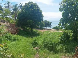  Grundstück zu verkaufen in Koh Phangan, Surat Thani, Koh Phangan