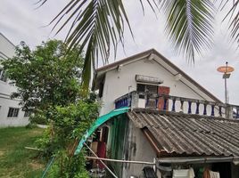 3 Schlafzimmer Haus zu verkaufen in Kaeng Khro, Chaiyaphum, Nong Phai, Kaeng Khro, Chaiyaphum