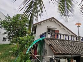 3 Schlafzimmer Haus zu verkaufen in Kaeng Khro, Chaiyaphum, Nong Phai