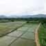  Grundstück zu verkaufen in San Sai, Chiang Mai, Nong Yaeng, San Sai