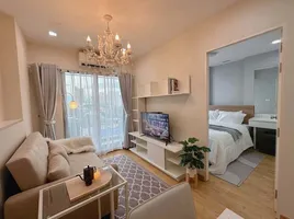 1 Bedroom Condo for rent at Park Origin Phrom Phong, Khlong Tan, Khlong Toei, Bangkok
