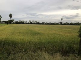  Land for sale in Sankhaburi, Chai Nat, Pho Ngam, Sankhaburi