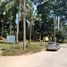  Land for sale in Surat Thani, Maret, Koh Samui, Surat Thani