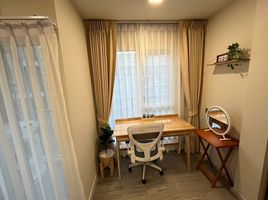 Studio Appartement zu vermieten im Kave Town Island, Khlong Nueng, Khlong Luang, Pathum Thani