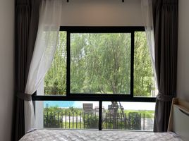 1 Schlafzimmer Appartement zu vermieten im Dolce Lasalle, Bang Na, Bang Na, Bangkok