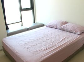 1 Bedroom Condo for rent at Rhythm Sukhumvit 42, Phra Khanong, Khlong Toei, Bangkok, Thailand