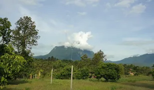 N/A Grundstück zu verkaufen in Chiang Dao, Chiang Mai 