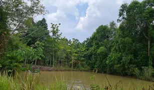 N/A Land for sale in Tha Luang, Chanthaburi 