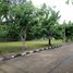  Land for sale in Cha-Am, Phetchaburi, Cha-Am, Cha-Am