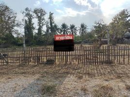  Land for sale in San Pa Tong, Chiang Mai, Ban Mae, San Pa Tong