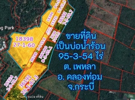  Grundstück zu verkaufen in Khlong Thom, Krabi, Phela, Khlong Thom