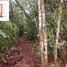  Land for sale in Chiguaza, Huamboya, Chiguaza