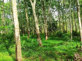  Land for sale in Gelumbang, Muara Enim, Gelumbang