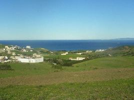  Land for sale in AsiaVillas, Fahs, Fahs Anjra, Tanger Tetouan, Morocco