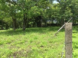  Land for sale in Guanacaste, Hojancha, Guanacaste