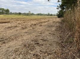  Land for sale in Prakhon Chai, Buri Ram, Prakhon Chai