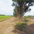  Land for sale in Nong Suea, Pathum Thani, Bueng Bon, Nong Suea